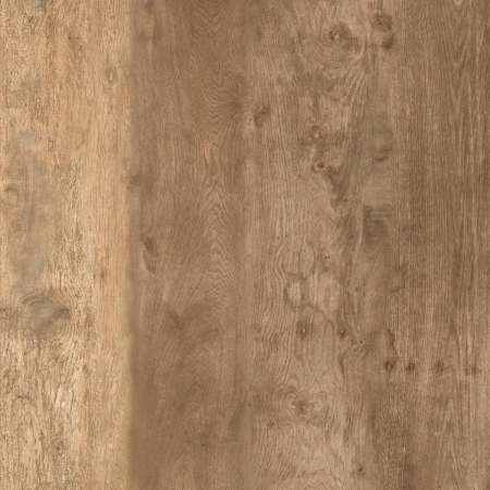16650498822914-cottodestebodenkerlitewoodland20x120ardenwildpls200x1200x65