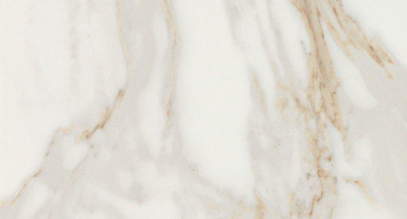 16757909478235-fapbodenromagoldwalltiles305x56rtromagold305x56calacattaorobrillante