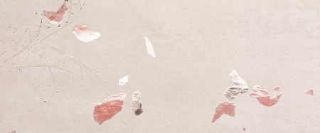 16757911936761-fapbodenylicowalltiles50x120rtylico50x120petals