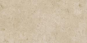 16800853839455-marazzibodencaracter60x120caracterstr