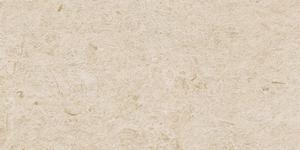 16800854051814-marazzibodencaracter30x60caracterstr