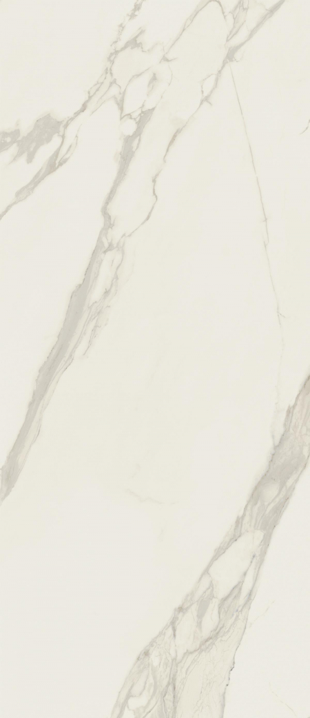 16842299270861-caesarbodenanima120x278silk