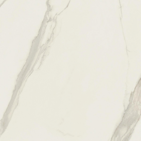 16842299327045-caesarbodenanima120x1201195rt
