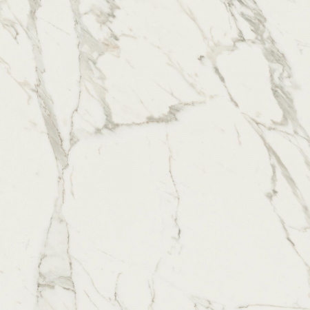 16842299435589-caesarbodenanima60x60lucidato