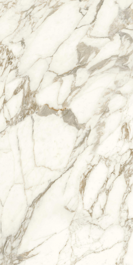16842300118901-caesarbodenanimaever60x120rtmatt