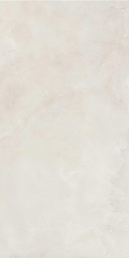16842300417071-caesarbodenanimaever60x120lucidato