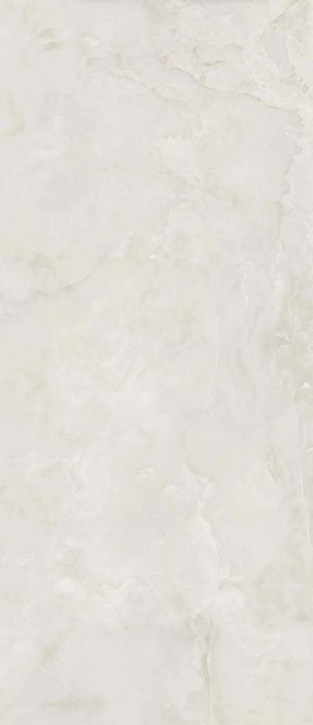 16842300539734-caesarbodenanimaever120x278lucidato