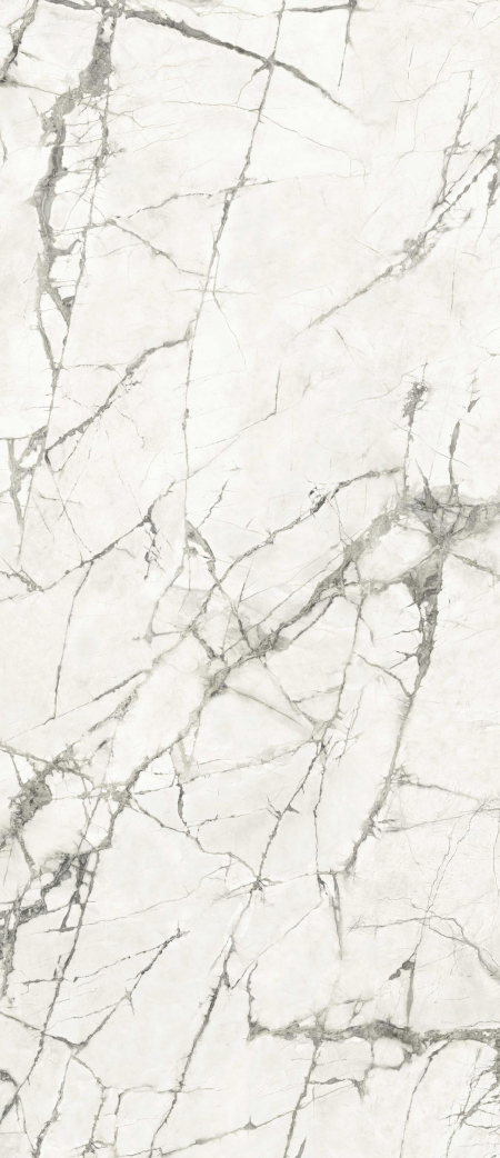 16842300575125-caesarbodenanimaever120x278lucidato