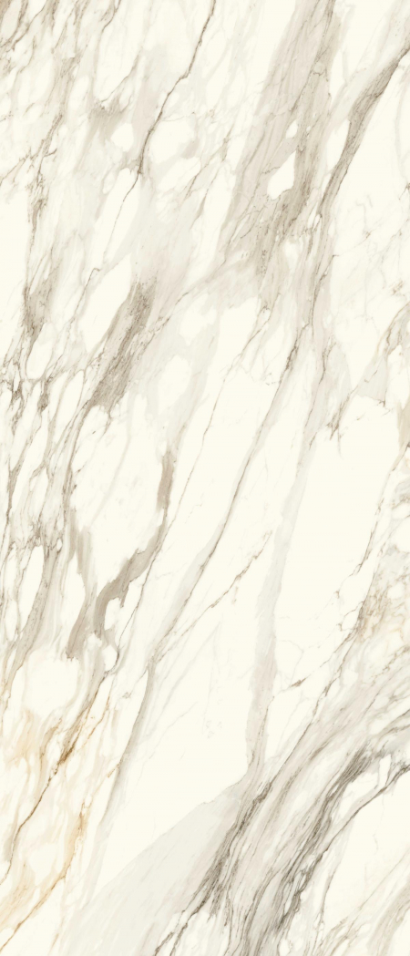 16842300678105-caesarbodenanimaever120x278macchiablucidato