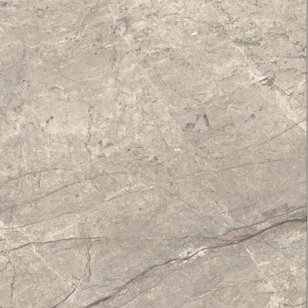16842300971517-caesarbodenanimafutura60x60mattrt