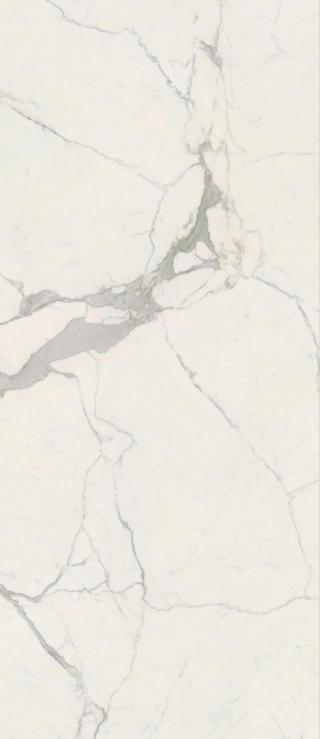 16842301644403-caesarbodenanimafutura120x278lucidatort