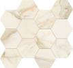 16842302276703-caesarbodenanimafutura285x33compesagonoluc