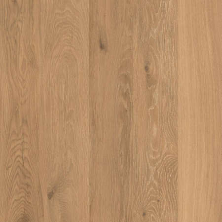 16843150022695-caesarbodencocoon60x60extragriprt