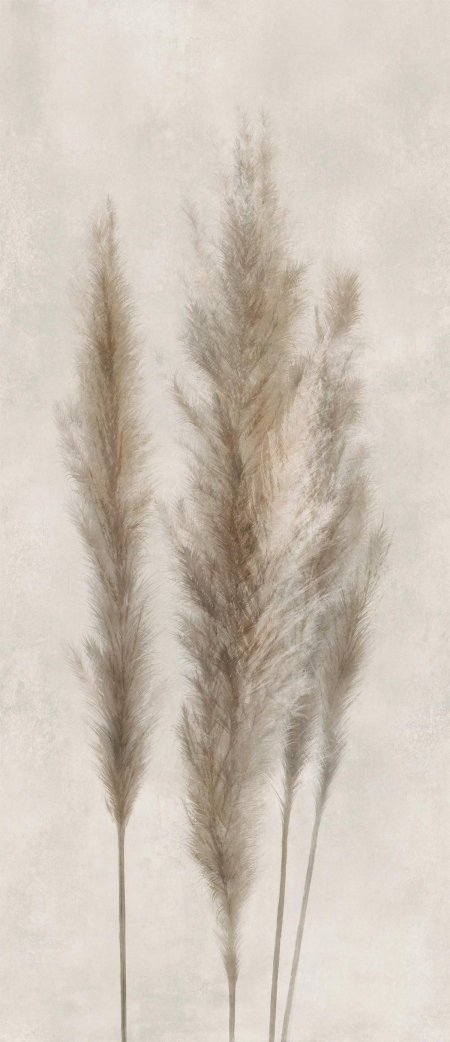 16843151331712-caesarbodendecosolutions120x278mattrt