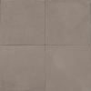 16843161135164-caesarbodenprima29x29composizioneq