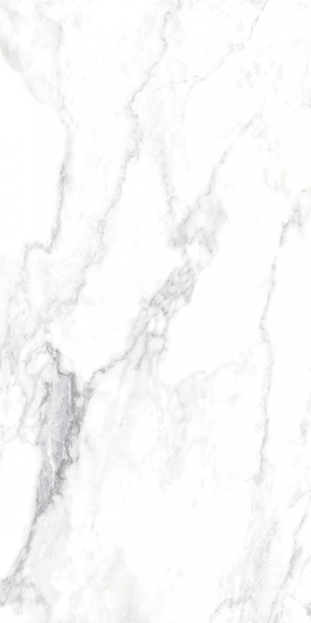 16941796011593-rondinebodencanova60x120