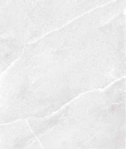 17162812401358-bodencasalgrandekollektionsupremegrosze120x120farbesandlucido1pz