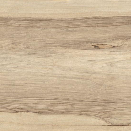17334772526178-bodenfioranesekollektionsfridogrosze20x120farbefrakebeige