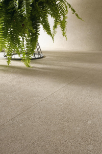 16649792088234-cottodestebodencluny75x75champagnelayertt20m750x750