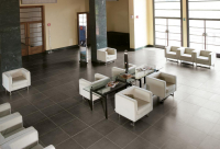 16649801214042-cottodestebodenkerlitebuxy50x100cendreplus5500x1000x35