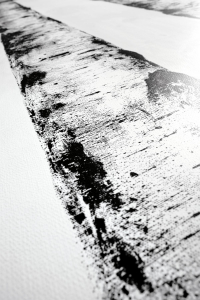 16649820697042-cottodestebodenwonderwall100x300ritmib23plus3000x1000