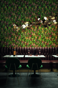 16650494399275-cottodestebodenwonderwall50x100foliageab3plus500x1000