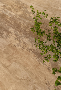 1665050082853-cottodestebodenkerlitewoodland20x120waldenwildpls200x1200x65