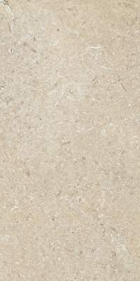 16650535146457-cottodestebodensecretstone60x120preciousbeigenatrt600x1200