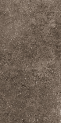 16650537010258-cottodestebodensecretstone60x120raredarkhonrtt600x1200