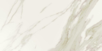 16654889897714-bodenelite300x600marmoglossycalacattaseltcalacattaglossyrtt8300x600