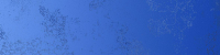 16660229125581-vivabodennarciso15x6015x60zaffiro