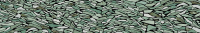 1666023188532-vivabodennarciso60x12060x120frammentimix