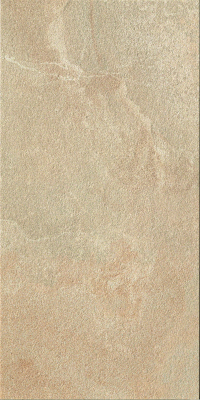 16751704215886-casalgrandebodenamazzonia30x60dragonbeigegrip10mm