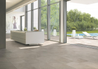16751706482837-casalgrandebodenamazzonia45x45dragongrey10mm