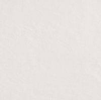 16757905811402-fapbodenmilanomoodwalltiles50x120rtmilanomood50x120ghiacciomatt