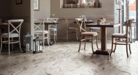 16757908044003-fapbodenromaatelier25x216romastatuarioesagono
