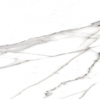 16757908234163-fapbodenromawalltiles25x75roma25statuario