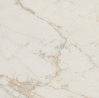16757909118845-fapbodenromagoldgresporcellanato60x120rtromagold60x120calacattadelicatobrill