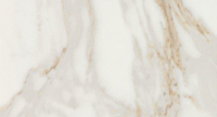 16757909478235-fapbodenromagoldwalltiles305x56rtromagold305x56calacattaorobrillante