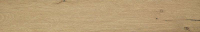 16757910216543-fapbodenroots20x120rtroots20x120honeyoutr11