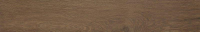 16757910241837-fapbodenroots20x120rtroots20x120tobaccooutr11