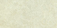 16769825666882-emilceramicabodenlandscape40x8040x80landscapeavoriosilktechrt