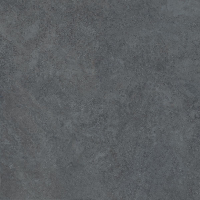 16769826371209-emilceramicabodenlandscape80x8080x80landscape20mmantracitenatrt