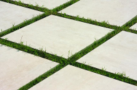 16769830081305-emilceramicabodenonsquare60x60x603b0r360x60avoriorett20mm