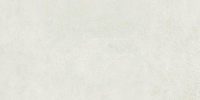 16769833420386-emilceramicabodensixty30x6030x60sixtytalcosilktechrt