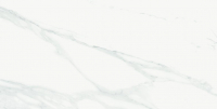 16769837760818-emilceramicabodenteledimarmo60x12060x120statuariomichelangret