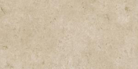 16800853839455-marazzibodencaracter60x120caracterstr