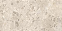 16800853858393-marazzibodencaracter60x120caracterstr