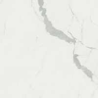 16842298972851-caesarbodenanima60x60rt4pz