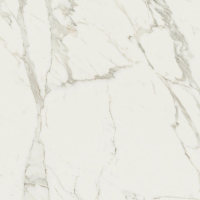 1684229899211-caesarbodenanima60x60rt4pz